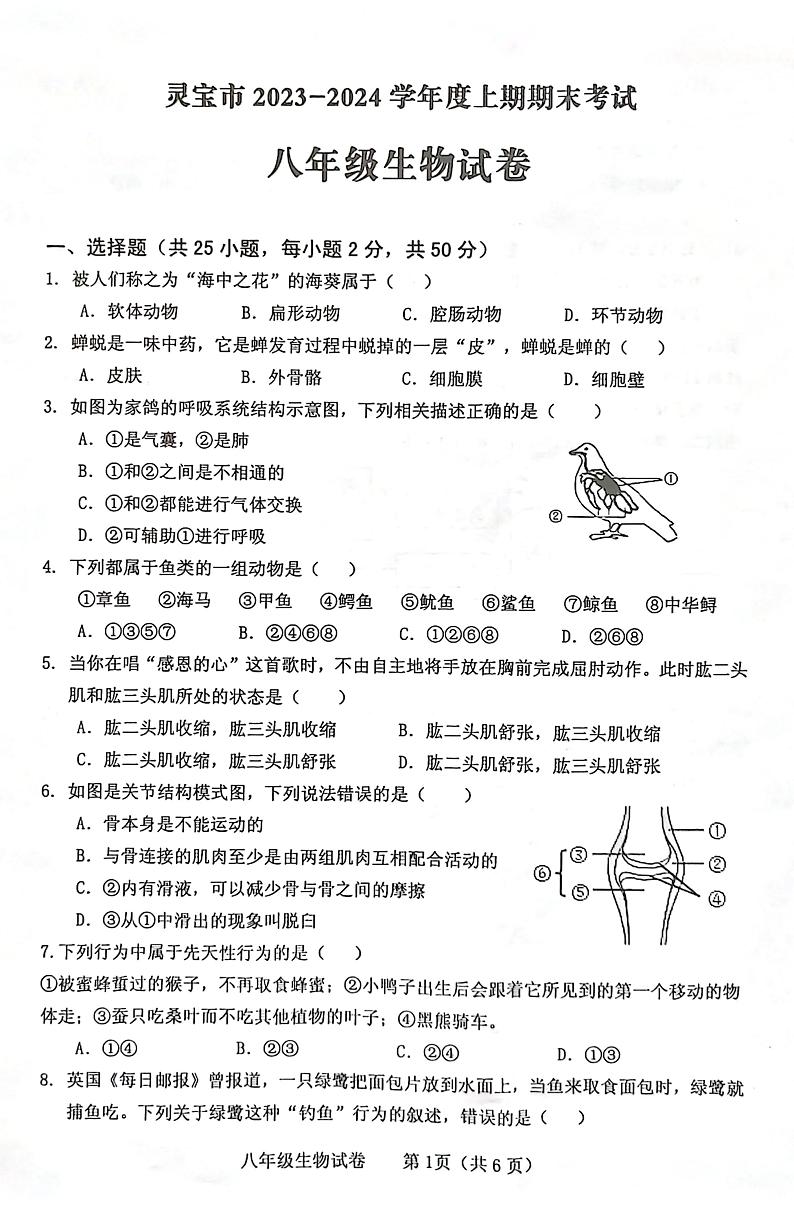 河南省三门峡市灵宝市2023-2024学年八年级上学期期末生物学试题第1页