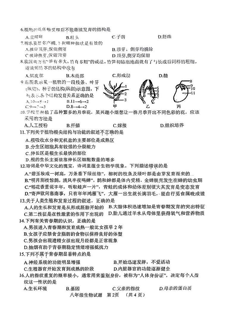 山东省菏泽市鄄城县2023-2024学年八年级上学期期末考试生物学试题第2页
