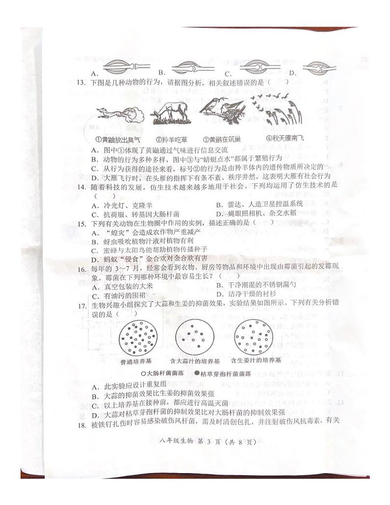 湖南省怀化市2023-2024学年八年级上学期期末生物试题第3页