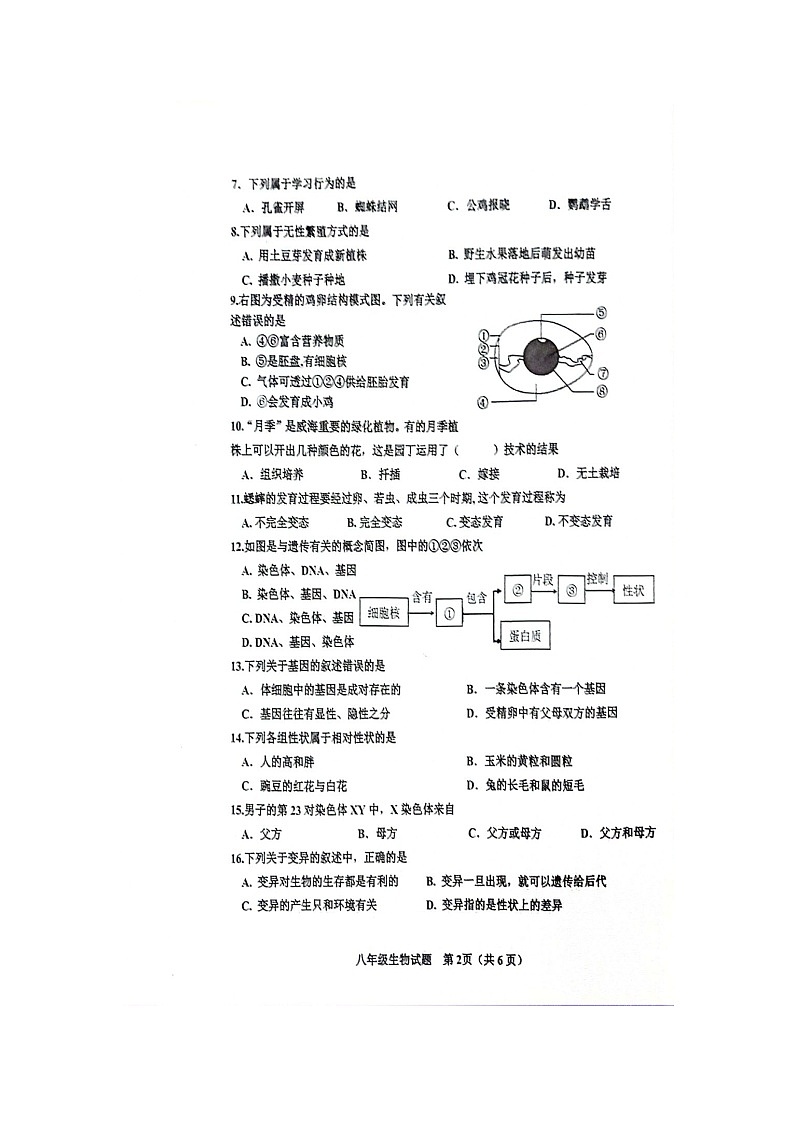 山东省威海市环翠区2023-2024学年八年级上学期期末生物试题02