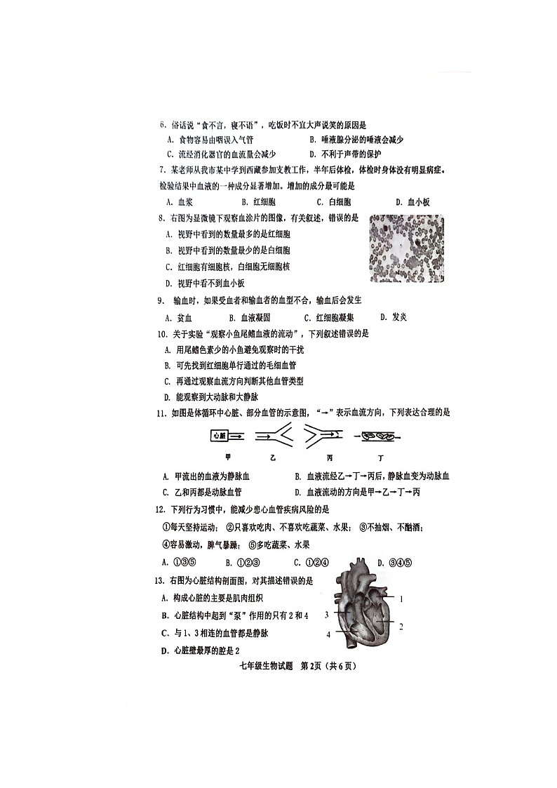 山东省威海市环翠区2023-2024学年七年级上学期期末生物试题02