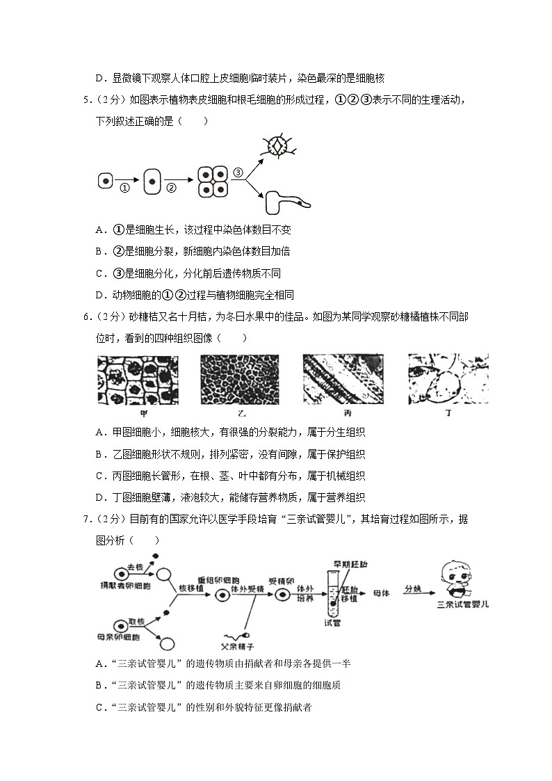 山东省潍坊市诸城市2023-2024学年七年级上学期期末生物试卷第2页