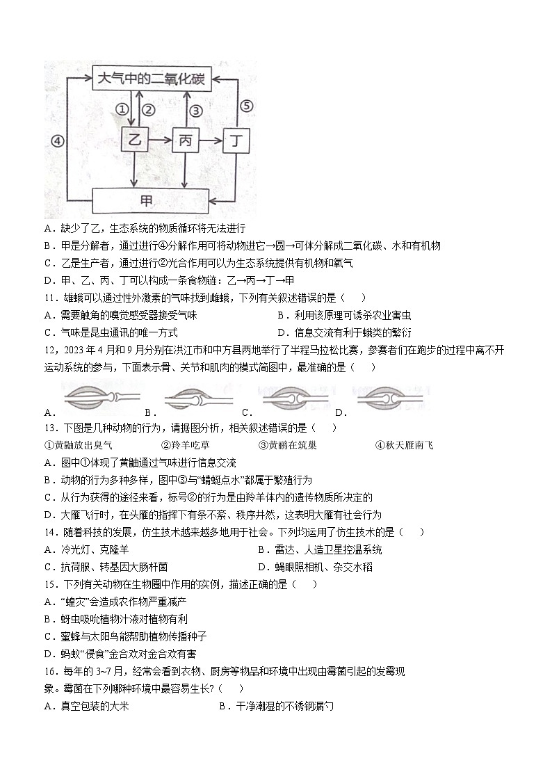 湖南省怀化市2023-2024学年八年级上学期期末生物试题03