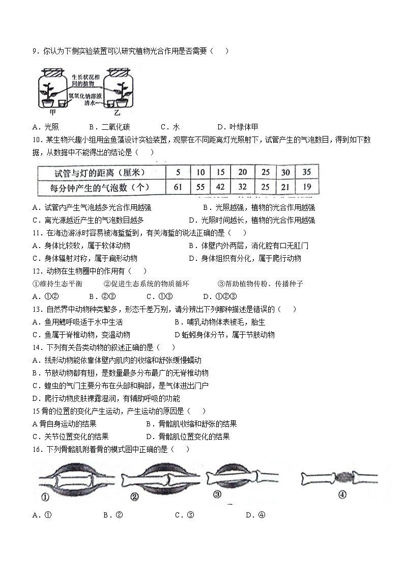 山东省菏泽市鄄城县2023-2024学年七年级上学期期末生物试题02