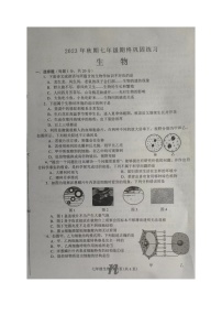 河南省南阳市南召县2023-2024学年七年级上学期期末生物试题