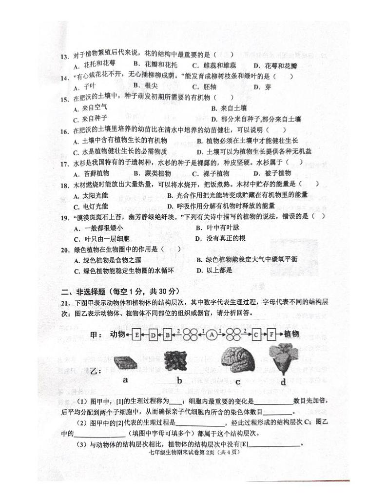 河南省商丘市夏邑县2023-2024学年七年级上学期期末生物试题02