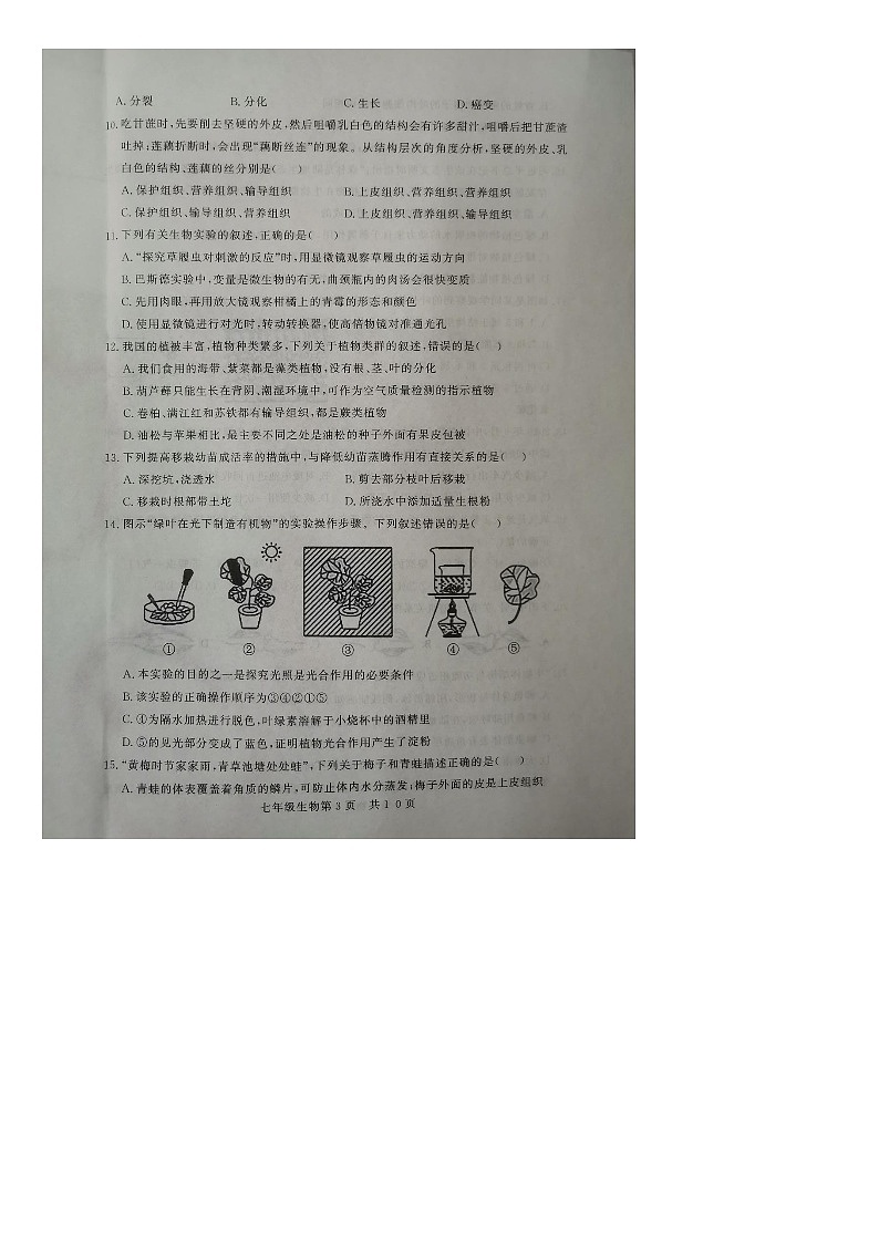 山东省德州市禹城市2023-2024学年七年级上学期期末生物试题03