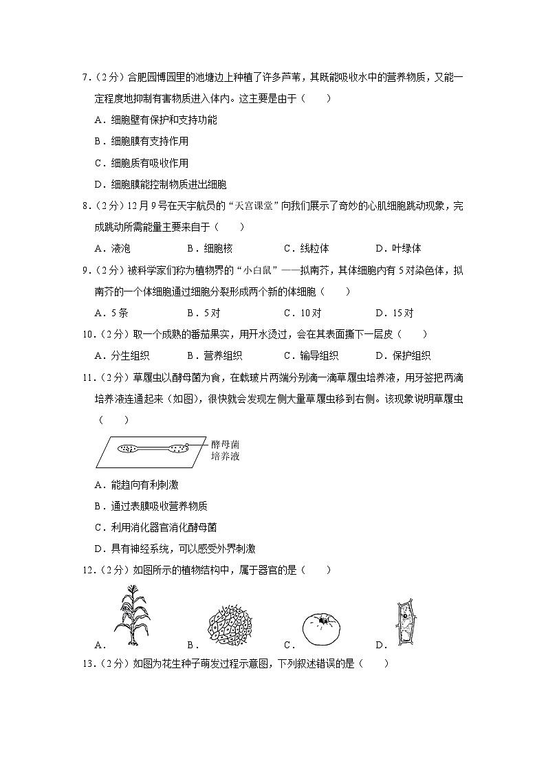 安徽省合肥市蜀山区2023-2024学年七年级上学期期末生物试卷02