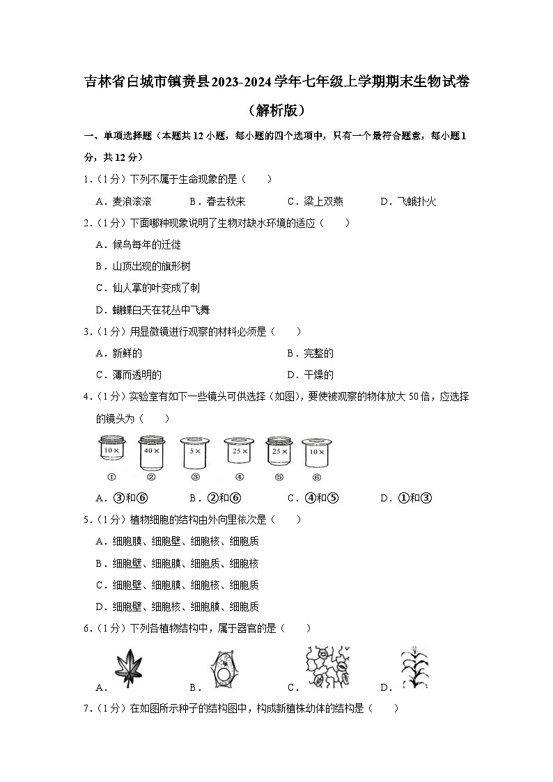 吉林省白城市镇赉县2023-2024学年七年级上学期期末生物试卷第1页