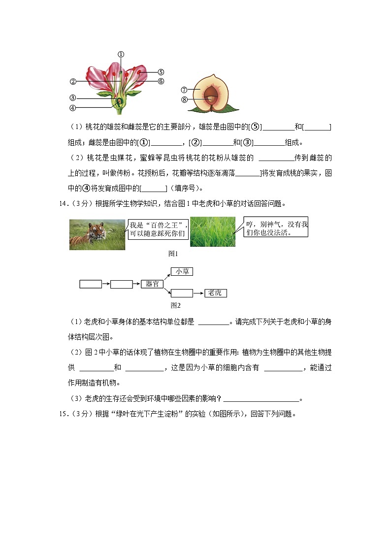 吉林省白城市镇赉县2023-2024学年七年级上学期期末生物试卷第3页