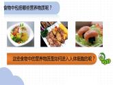 【核心素养】人教版初中生物七年级下册4.2.2《消化和吸收》课件＋课时练习＋教案（含教学反思）