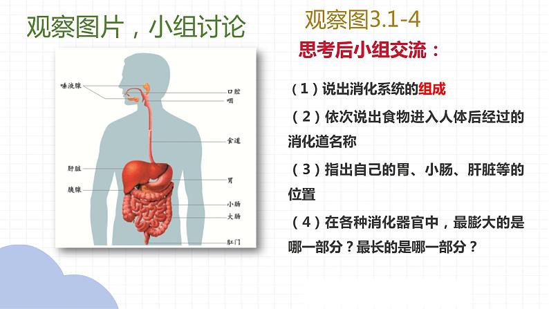 【核心素养】人教版初中生物七年级下册4.2.2《消化和吸收》课件＋课时练习＋教案（含教学反思）08