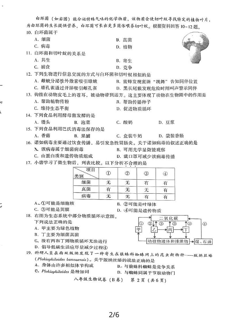 福建省漳州市2023—2024学年上学期教学期末质量检测八年级生物试卷（无答案）第2页