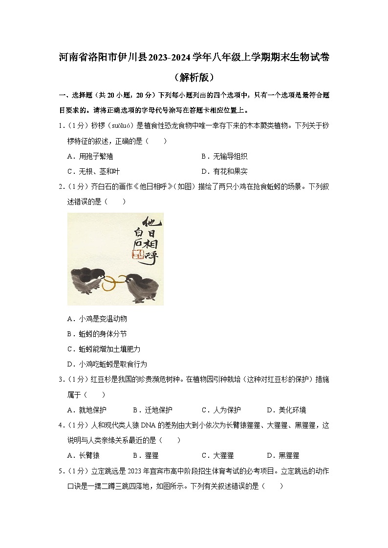 河南省洛阳市伊川县2023-2024学年八年级上学期期末生物试卷+01