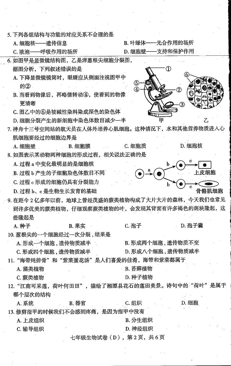 河北省石家庄市新乐市2023-2024学年七年级上学期期末生物试题02