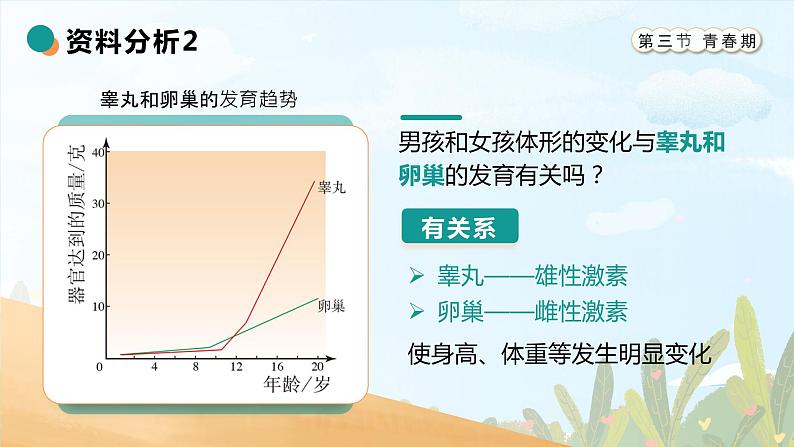 4.1.3《青春期》课件第7页