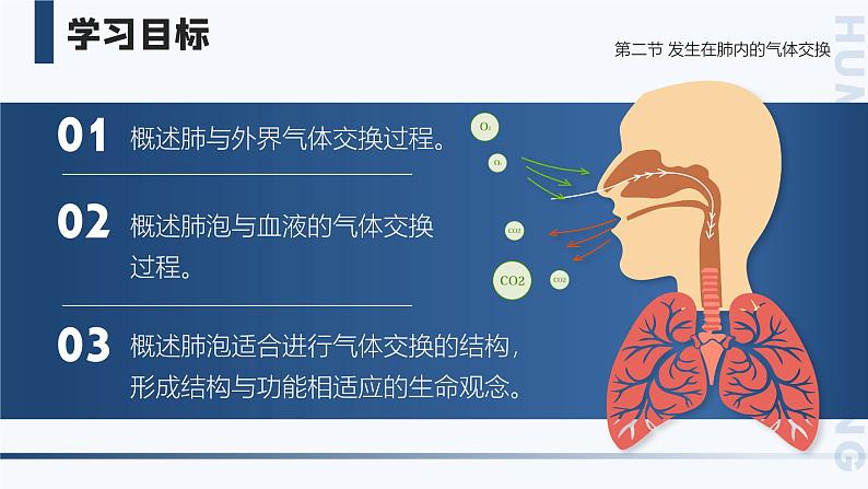 4.3.2《发生在肺内的气体交换》课件02