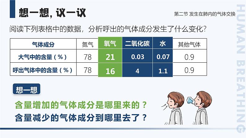 4.3.2《发生在肺内的气体交换》课件03