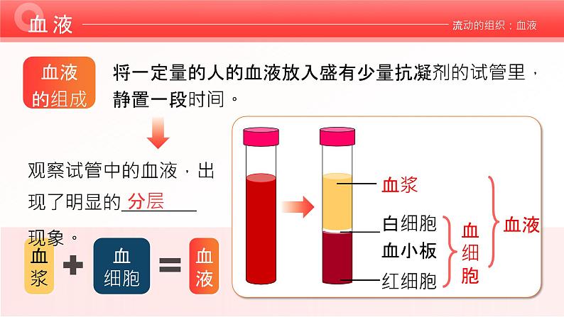 4.4.1《流动的组织—血液》课件05