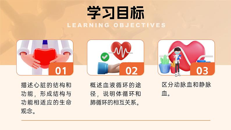 4.4.3《输送血液的泵—心脏》课件02