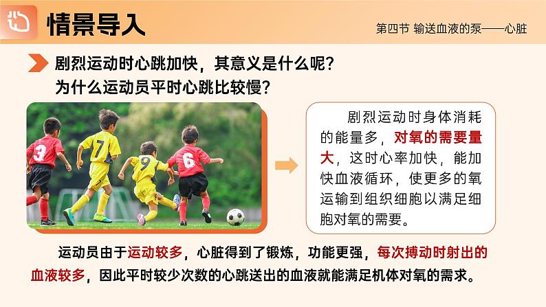4.4.3《输送血液的泵—心脏》课件03