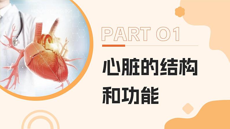 4.4.3《输送血液的泵—心脏》课件04
