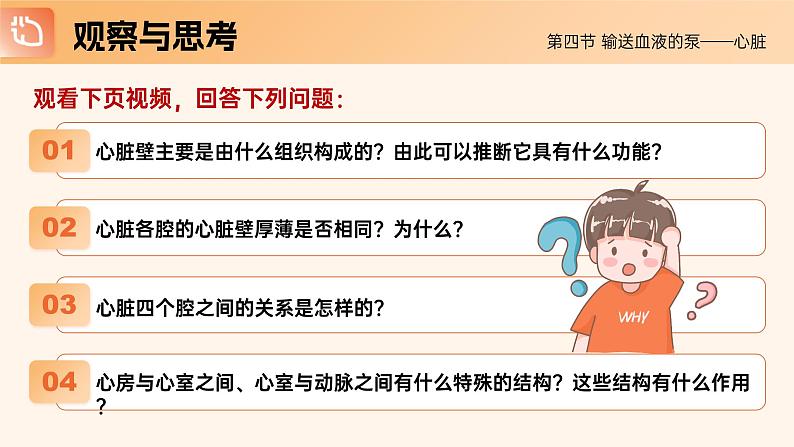 4.4.3《输送血液的泵—心脏》课件06