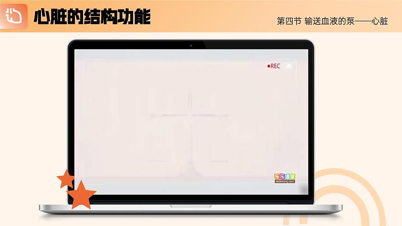 4.4.3《输送血液的泵—心脏》课件07