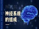 4.6.2《神经系统的组成》课件