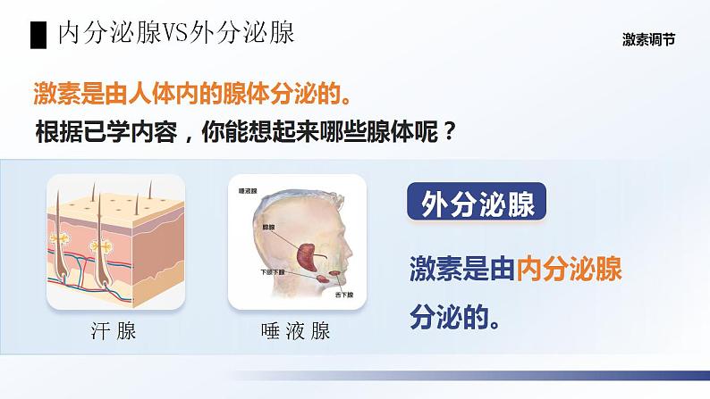 4.6.4《激素调节》课件07