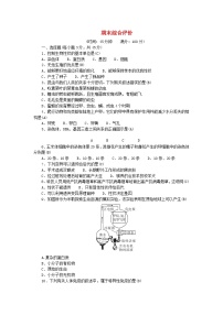 2024八年级生物下学期期末综合评价试卷（人教版）