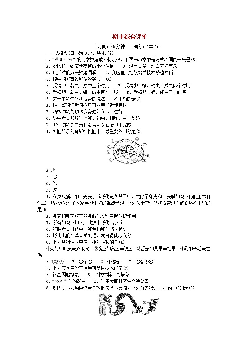 2024八年级生物下学期期中综合评价试卷（人教版）01