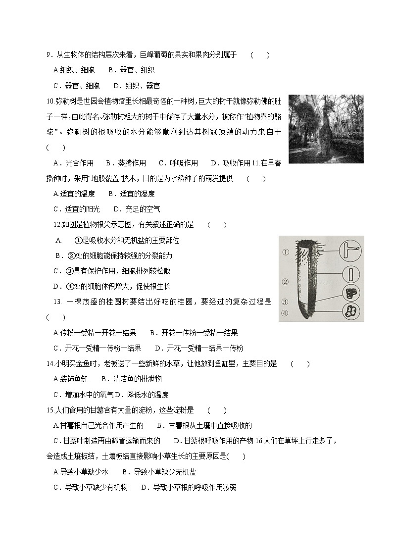 安徽省淮北市2023-2024学年七年级上册期末生物模拟试题（附答案）02