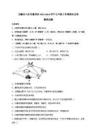 安徽省六安市霍邱县2023-2024学年七年级上册期末生物模拟试题（附答案）