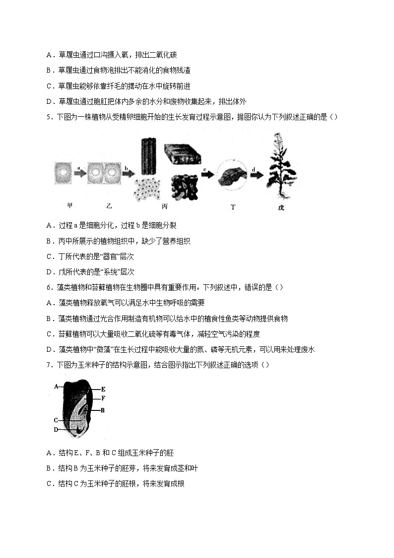 安徽省六安市霍邱县2023-2024学年七年级上册期末生物模拟试题（附答案）第2页