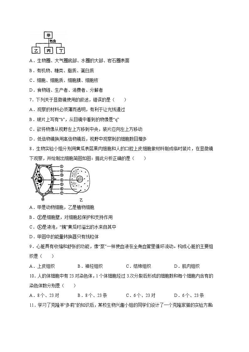 安徽省芜湖市2023-2024学年七年级上册期末教学质量监控生物模拟试题（附答案）第2页