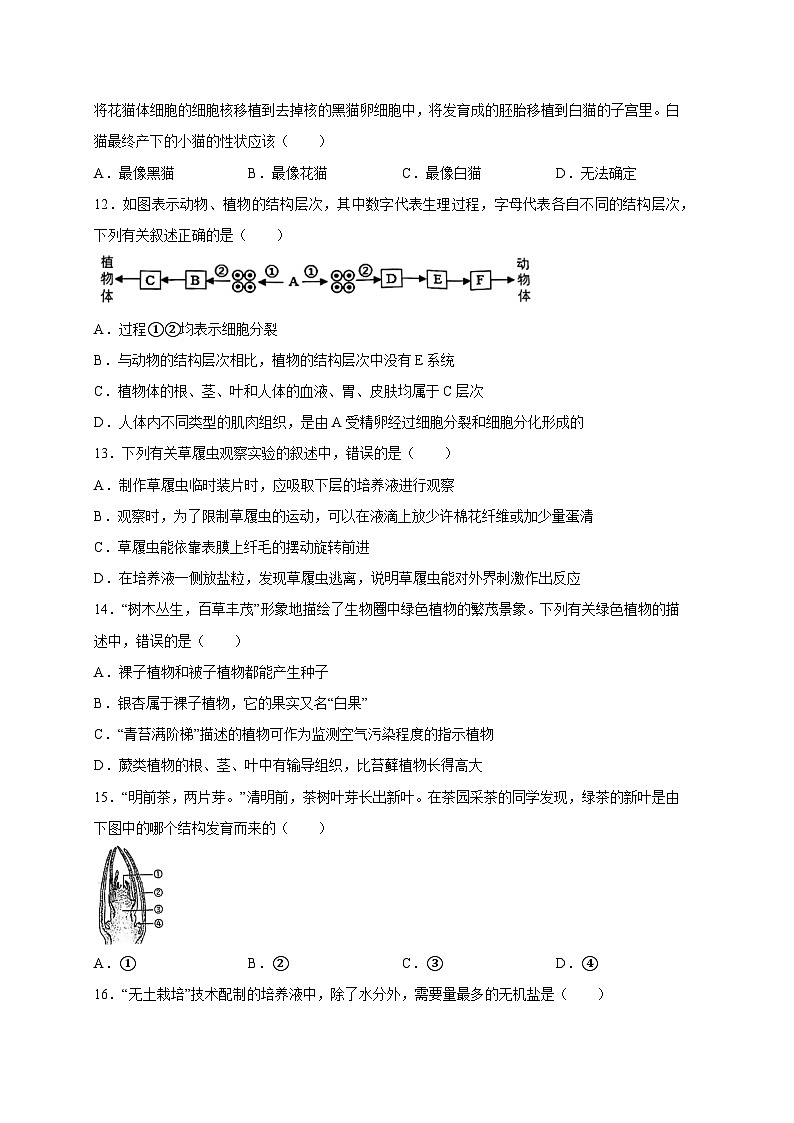 安徽省芜湖市2023-2024学年七年级上册期末教学质量监控生物模拟试题（附答案）第3页