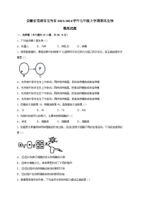 安徽省芜湖市无为市2023-2024学年七年级上册期末生物模拟试题（附答案）