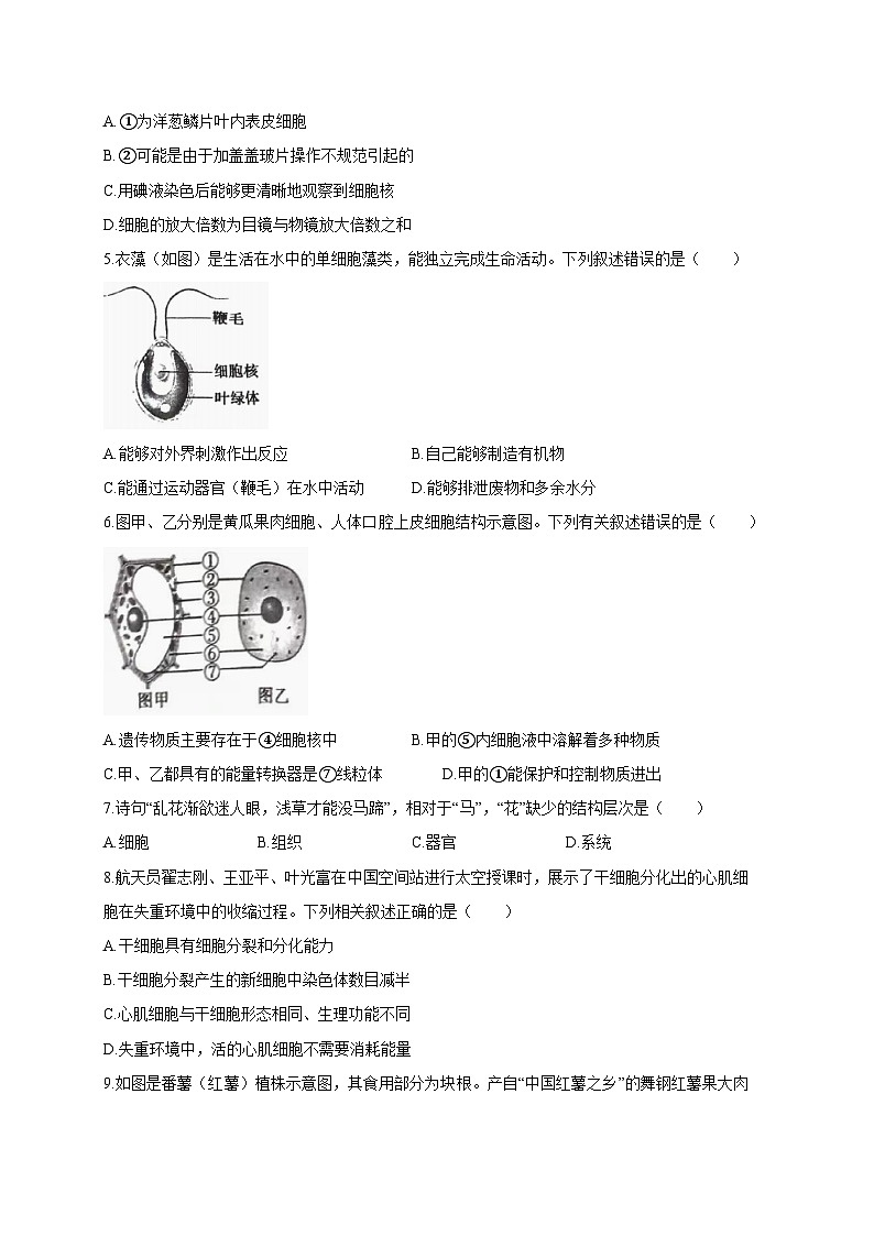 河南省平顶山市鲁山县2023-2024学年七年级上册期末考试生物模拟试题（附答案）02