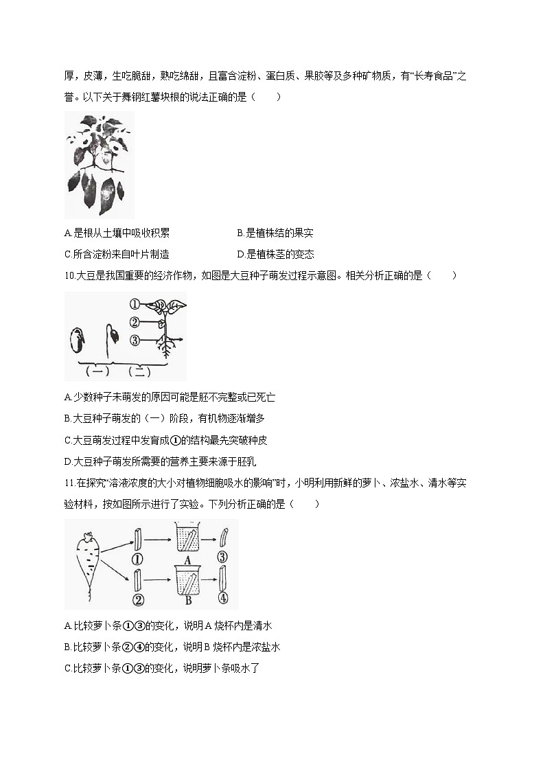 河南省平顶山市鲁山县2023-2024学年七年级上册期末考试生物模拟试题（附答案）03