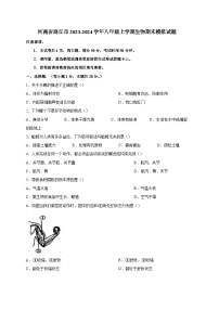 河南省商丘市2023-2024学年八年级上册生物期末模拟试题（附答案）