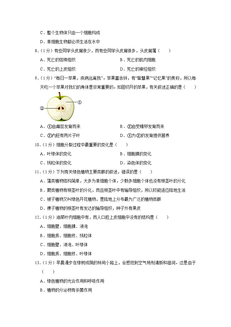 河南省周口市淮阳区2023-2024学年七年级上册期末生物模拟试题（附答案）02