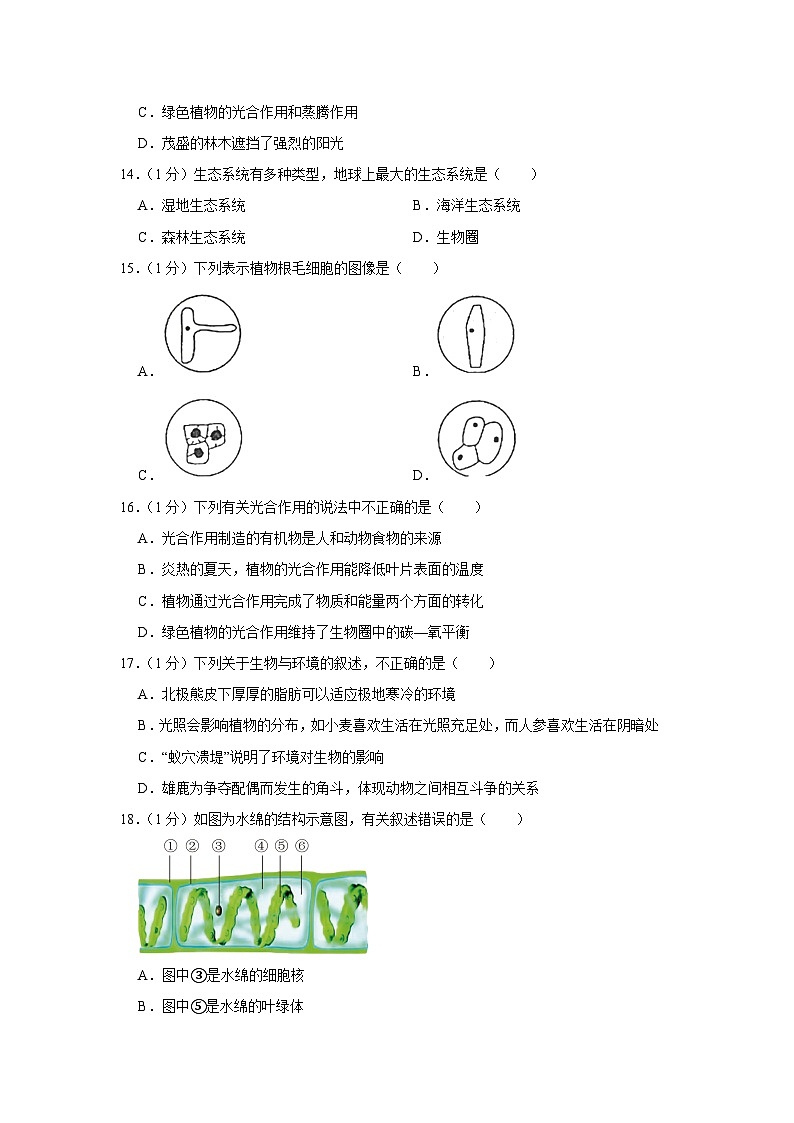 河南省周口市淮阳区2023-2024学年七年级上册期末生物模拟试题（附答案）03
