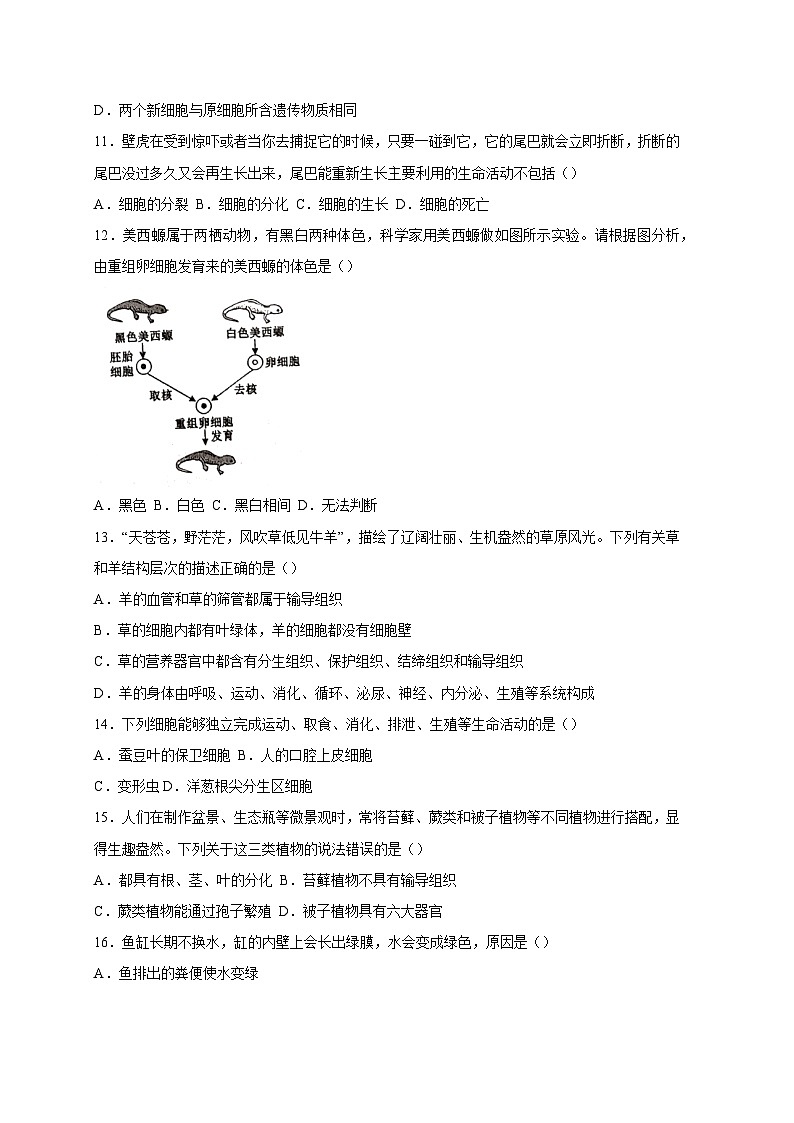 湖南省怀化市洪江市2023-2024学年七年级上册期末生物模拟试题（附答案）03