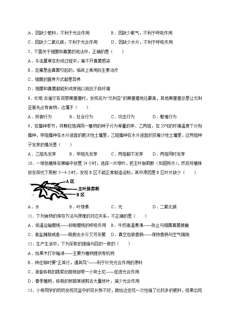 江西省吉安市吉安县2023-2024学年八年级上册期末生物模拟试题（附答案）第2页