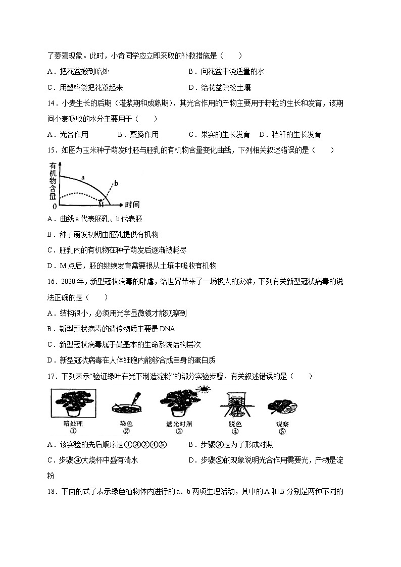 江西省吉安市吉安县2023-2024学年八年级上册期末生物模拟试题（附答案）第3页