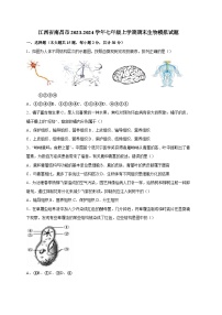 江西省南昌市2023-2024学年七年级上册期末生物模拟试题（附答案）