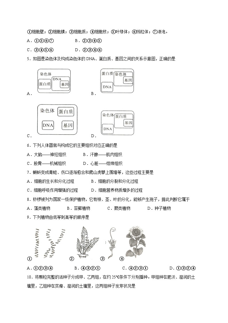 山西省朔州市2023-2024学年七年级上册期末学业质量监测生物模拟试题（附答案）02