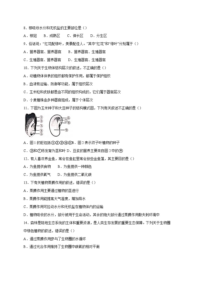 山西省长治市2023-2024学年七年级上册期末生物模拟试题（附答案）02