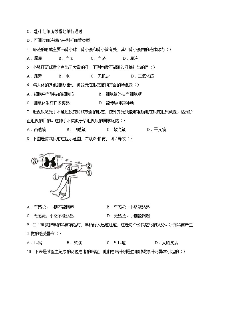 陕西省安康市汉阴县2023-2024学年八年级上册期末生物模拟试题（附答案）02